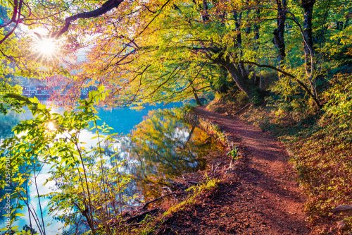 Rayons de soleil à travers les branches dans la forêt d'automne. Splendide vue matinale sur la rivière d'eau pure dans le parc national de Plitvice, Croatie, Europe.