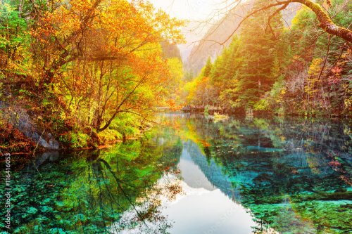 The Five Flower Lake. Colorful fall woods reflected in water - 901157427