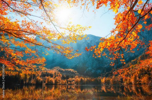Autumn trees on the shore of Hinterer Langbathsee lake in Alps mountains, Aus... - 901157429