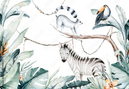 Watercolor jungle illustration of a lemur and toucan on white background. Madagascar fauna zoo exotic lemurs animal.