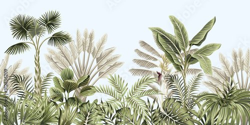 Paysage botanique vintage tropical, palmier, bananier, plante floral fond bleu. - 901157501