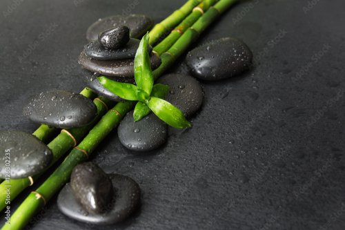 Spa-concept avec pierres zen et bambou