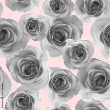 Motif de roses grises sur fond rose, illustration naturelle abstraite - 901157610