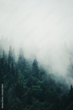Paysage montagnes dans le brouillard - 901157651