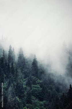 Misty mountain landscape - 901157653