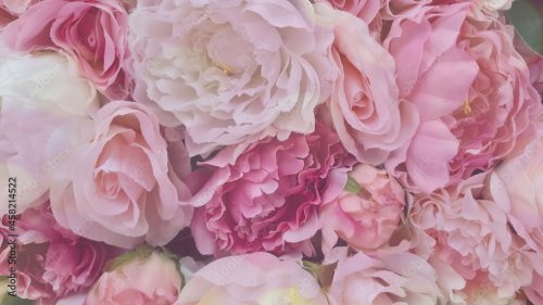Fleurs d'oeillets roses et pétales de rose - 901157677