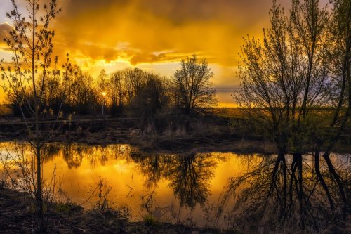 An incredibly colorful sunset on a small pond. Reflection of bare trees in a mirror of water.
