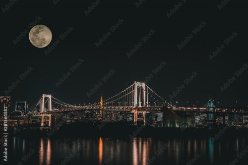 Statue of Liberty with rainbow bridge of Odaiba Tokyo at the moon night with ... - 901157683