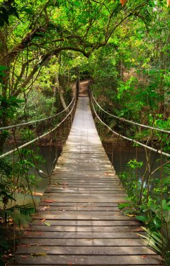 Bridge to the jungle,Khao Yai national park,Tha...