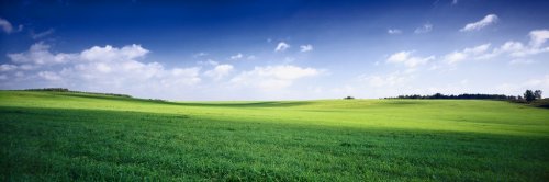 russia summer landscape - green fileds, the blue sky and white c - 900031014