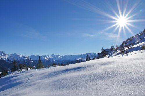 Winter in den Bergen - 900051579
