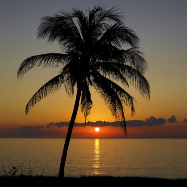 sunset over Caribbean Sea, María la Gorda, Cuba - 900054238