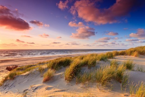 Seaside with sand dunes at sunset - 900062277