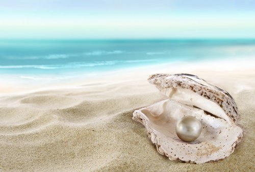 Shell with a pearl - 900065941