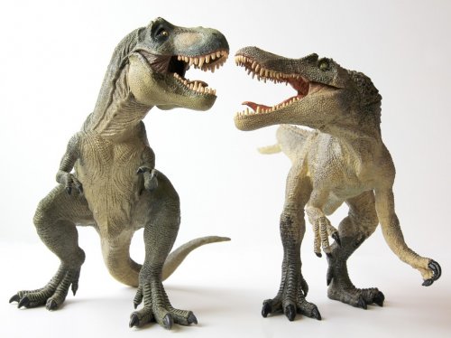 A Tyrannosaurus Rex Dinosaur Battles with a Spinosaurus - 900077059