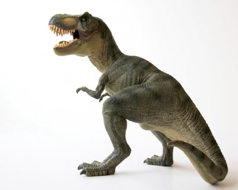 A Tyrannosaurus Rex Dinosaur with Gaping Jaws
