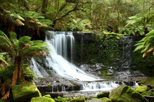 Gorgeous Russel Falls in Tasmania, Australia. - 900077802
