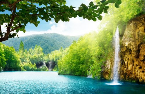 waterfall in deep forest - 900078709