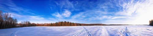 winter panorama by russian field - 900256806