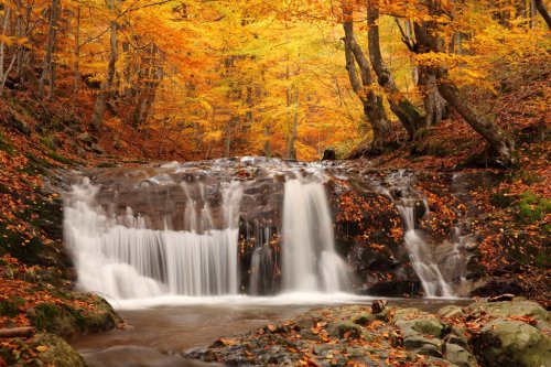 beautiful waterfall in forest, autumn landscape - 900293625