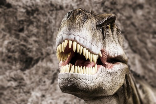 Tyrannosaurus showing his toothy mouth - 900426395