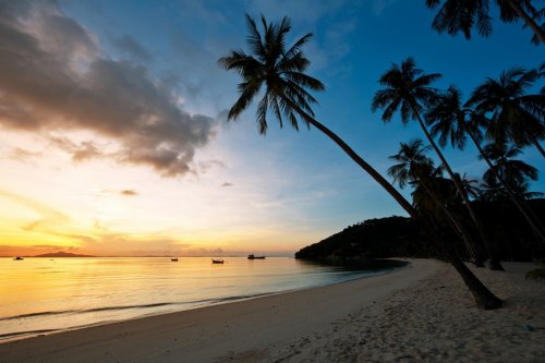 Beautiful sunrise at Beach with palms - 900436875