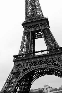 tour Eiffel - 900440030