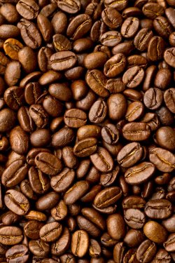 Kaffeebohnen Hinterfund