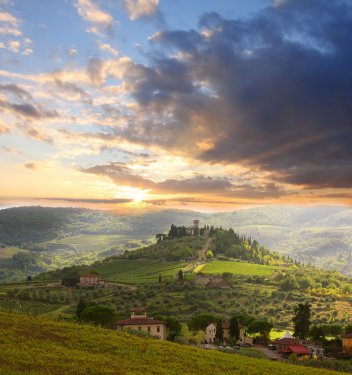 Chianti vineyard landscape in Tuscany, Italy - 900444472