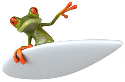 Frog surfing