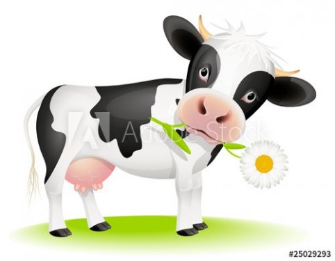 Little cow eating daisy - 900454276