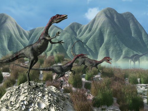Prehistoric Scene with Compsognathus Dinosaurs - 900459036
