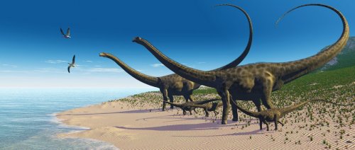 Diplodocus Herd - 900459048