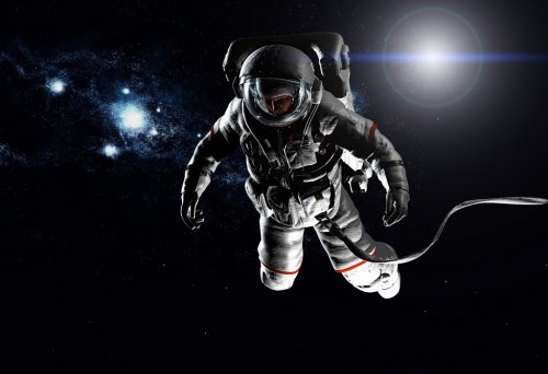 The astronaut - 900462132