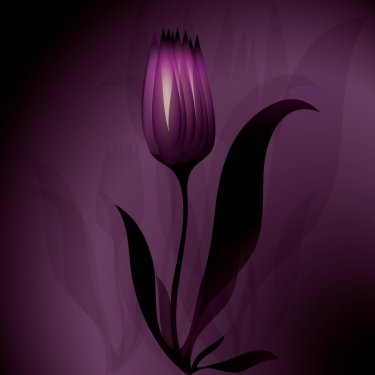Flower mysterious background Tulip - 900485035