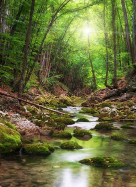 River deep in mountain forest - 900485376