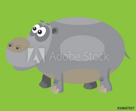 funny hippopotamus
