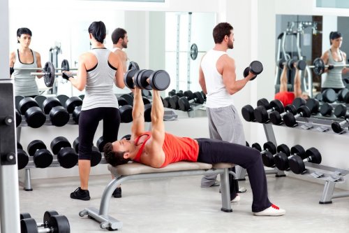 group of people in sport fitness gym weight training - 900496628