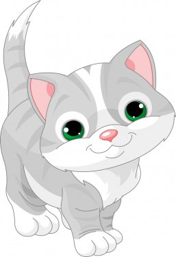 Cute gray kitten - 900497831