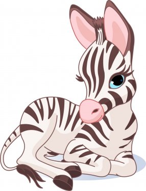 Cute Zebra Foal - 900497905
