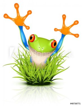Little tree frog on grass