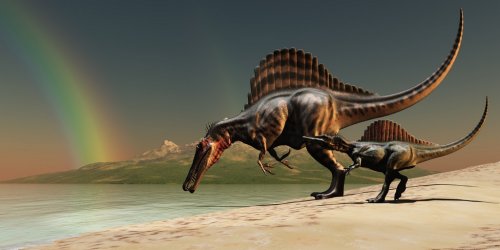 Spinosaurus Rainbow - 900561699