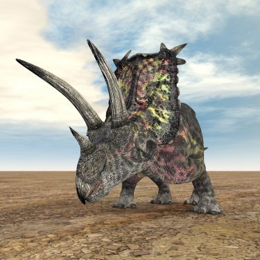 Pentaceratops - 900561700