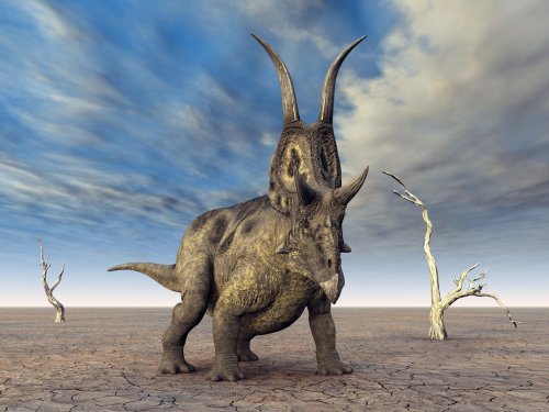 Diabloceratops - 900561711