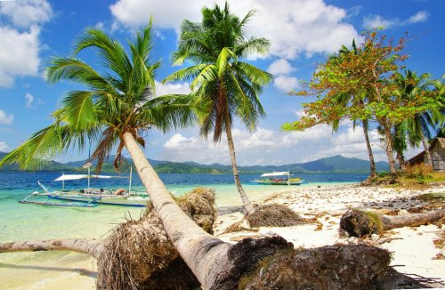 tropical island scene