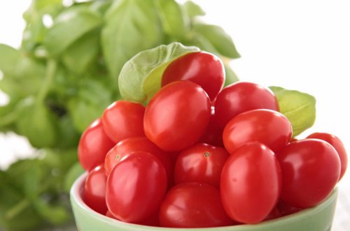 fresh cherry tomato - 900623326
