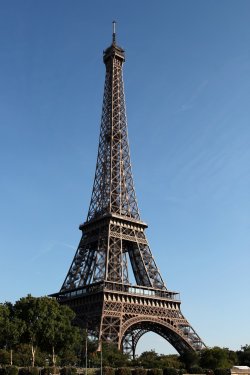 Eiffel Tower in Paris - 900626469