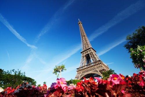 Eiffel Tower, Paris, France - 900659090
