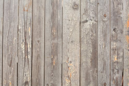 wooden wall background - 900782667