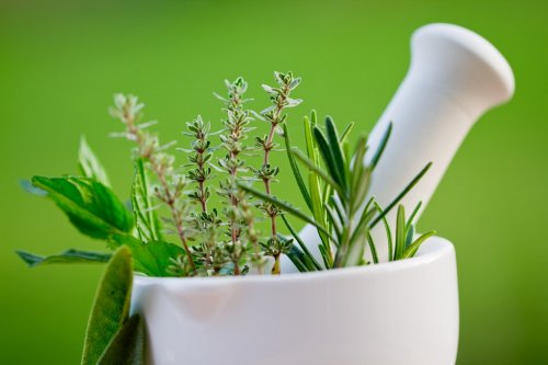 Fresh herbs in the mortar - alternative medicine - 900810686